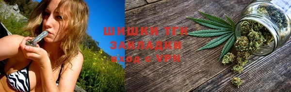 прущие грибы Киреевск