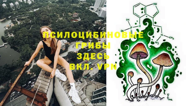 прущие грибы Киреевск