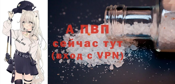 прущие грибы Киреевск