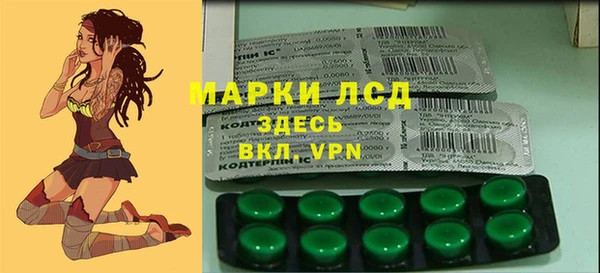 прущие грибы Киреевск
